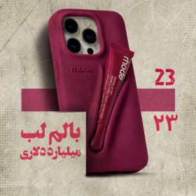 بالم لب میلیارد دلاری